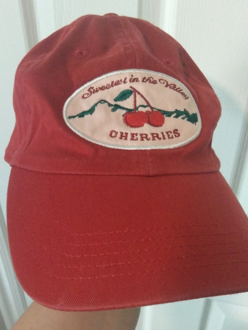 Wild Fable Red Women's Baseball Cap from Target This Season